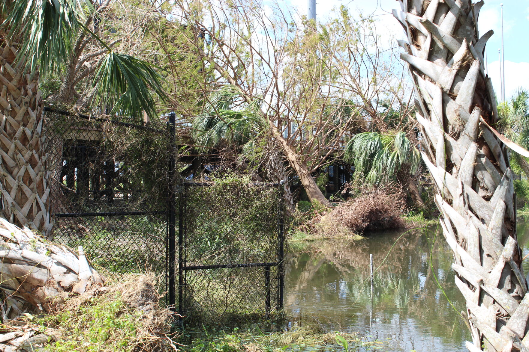 CSPx LF pond